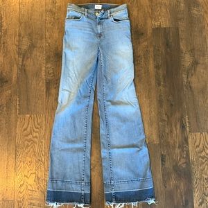 Hudson dani jeans